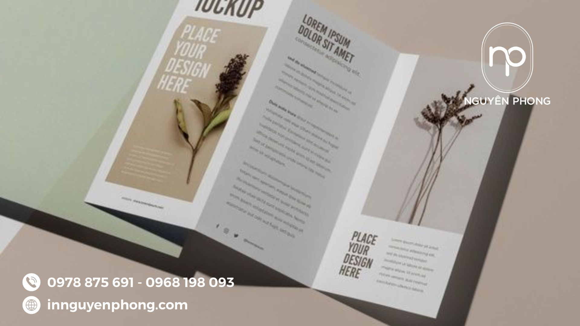 brochure-thoi-trang